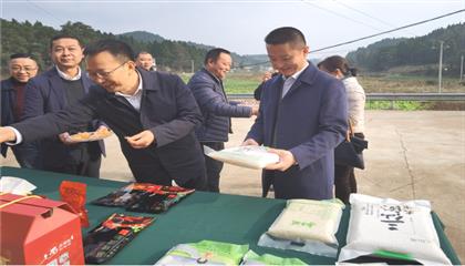 市委常委、政法委書記劉波濤帶隊(duì)調(diào)研指導(dǎo)定點(diǎn)幫扶村鄉(xiāng)村振興工作